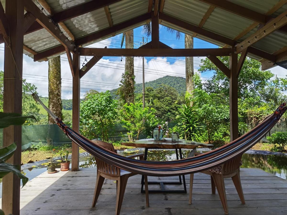 Greenhouse Loft Miravalles Aguas Claras  Exteriér fotografie