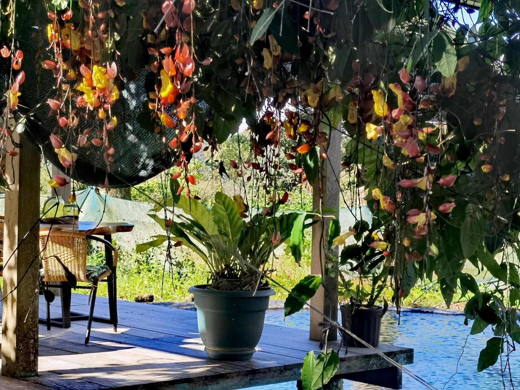 Greenhouse Loft Miravalles Aguas Claras  Exteriér fotografie